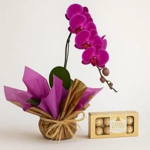 Orquídea Phalaenopsis Pink com Caixa de Bombons Ferrero Rocher