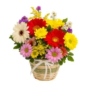 Arranjo de Gérberas e Flores do Campo
