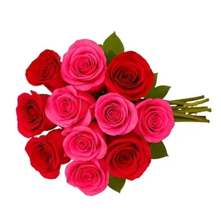 Buquê de 15 Rosas Rosada e Vermelha