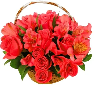 Cesta de 12 Rosas e Astromélias Vermelha