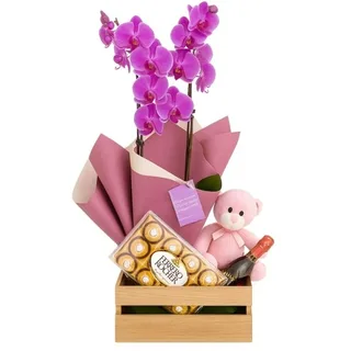 Orquídea para Presente Luxo