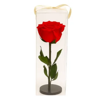 Rosa Eterna