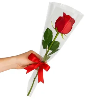 Rosa Solitária