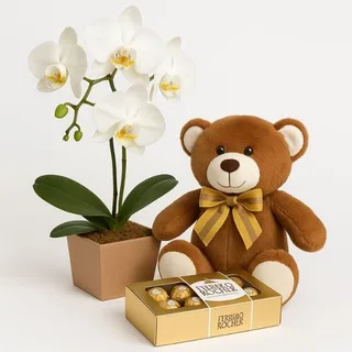 Orquídea Phalaenopsis Branca com Urso de Pelúcia e Ferrero Rocher