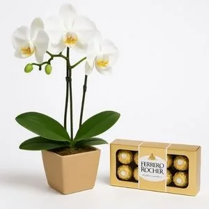 Orquídea Phalaenopsis Branca e Ferrero Rocher