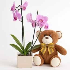 Orquídea Phalaenopsis Lilás com Urso de Pelúcia