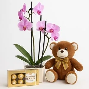 Orquídea Phalaenopsis Rosa com Ferrero Rocher e Urso de Pelúcia