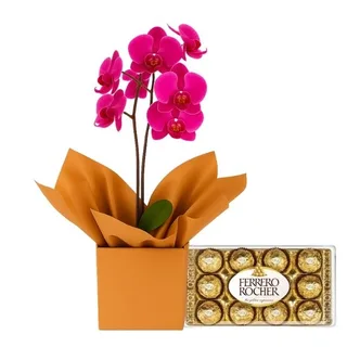 Orquídea Phalaenopsis Pink com Ferrero Rocher
