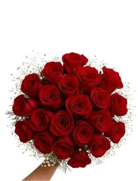 Buquê com 20 Rosas