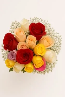 Buquê com 24 Rosas Coloridas