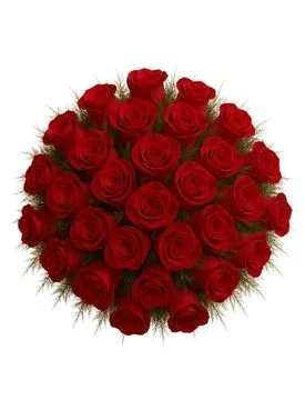 Buquê de 36 Rosas Vermelhas