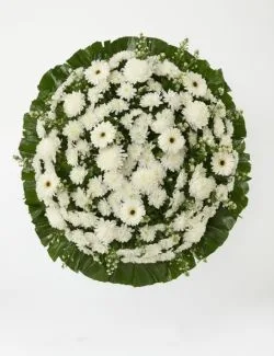 Coroa Fúnebre com Gerberas e Crisântemos Brancos