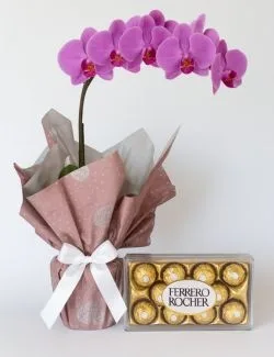 Orquídea Pink com Ferrero Rocher