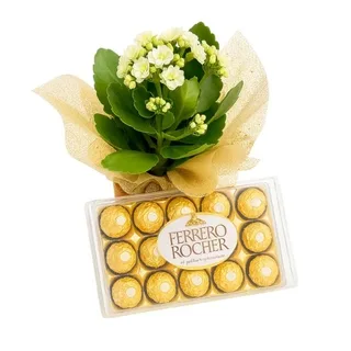 Flor da Fortuna Branca com Ferrero Rocher