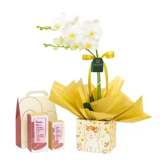 Orquídea com Kit Natura