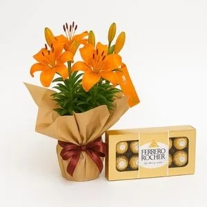 Lírio Laranja Plantado com Caixa de Ferrero Rocher