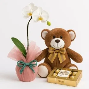Orquídea Phalaenopsis Branca com Urso de Pelúcia e Ferrero Rocher