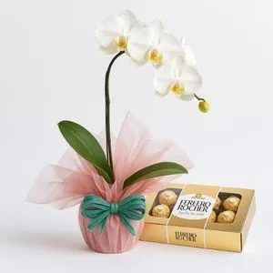 Orquídea Phalaenopsis Branca e Ferrero Rocher
