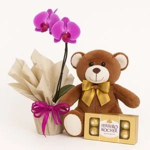 Orquídea Phalaenopsis Rosa com Urso de Pelúcia e Ferrero Rocher