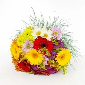 Buquê Colorido com Gérberas, Margaridas e Flores do Campo