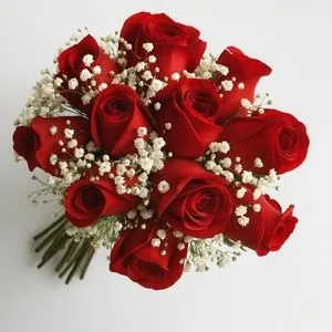 Buquê com 12 Rosas Vermelhas e Gipsofila