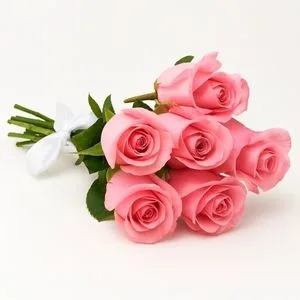 Buquê com 6 Rosas Rosadas
