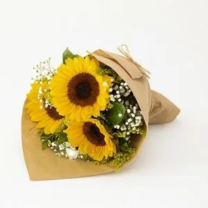 Buquê de 3 Girassóis com Gypsophila no Papel Kraft