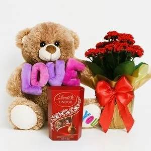 Kit com Kalanchoe, Chocolate Lindt e Pelúcia