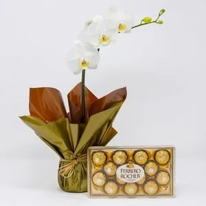 Orquídea Phalaenopsis Branca com Ferrero Rocher 150g