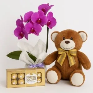 Orquídea Phalaenopsis Rosa com Ferrero Rocher e Urso de Pelúcia