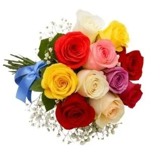 Buque de 12 Rosas Coloridas