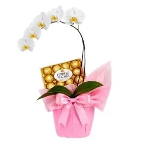 Orquídea Branca Com Ferrero Rocher