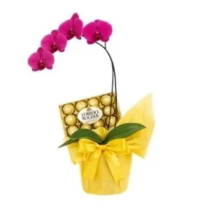 Orquídea Pink Com Ferrero Rocher
