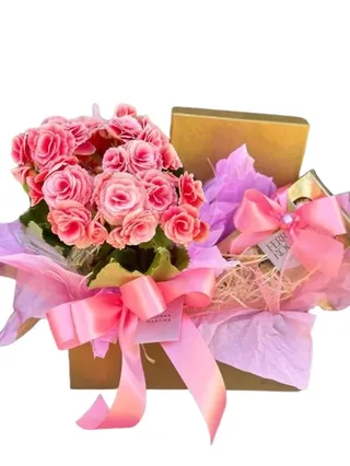Box Amorosa
