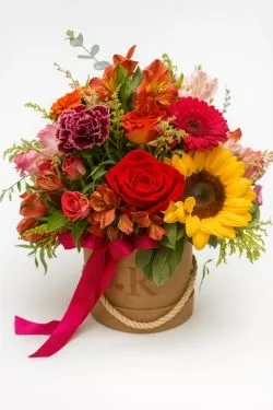 Box de Flores Campo Cores Vivas