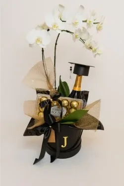 Box de Formatura
