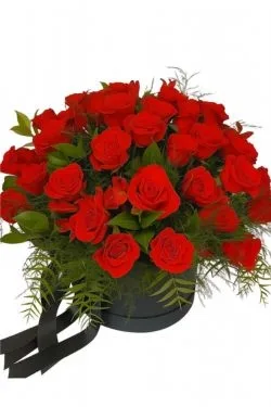 Box Luxo Especial 50 Rosas