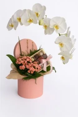 Box Orquidea 2 hastes e calandiva