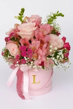 Box Tons Rosa