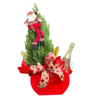 Cesta Natal Noel