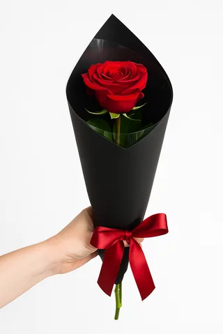 Elegância Única
