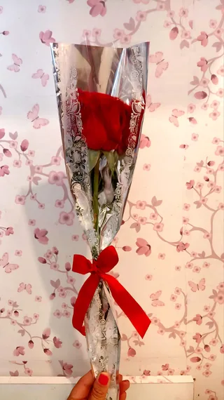 Rosa Solitária 