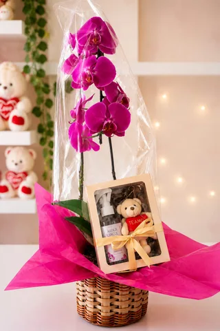 ORQUIDEA KIT PRESENTE