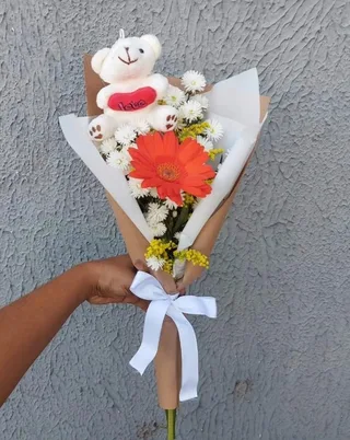 gerbera 