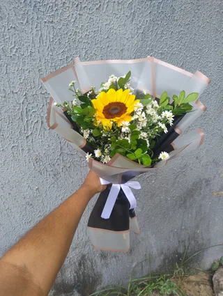 girassol correano