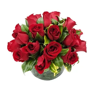 Aquário 20 Rosas Vermelhas