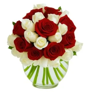 Aquário com 24 Rosas Brancas e Vermelhas