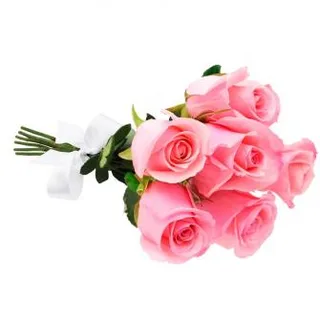 Bouquet de 6 Rosas Rosadas