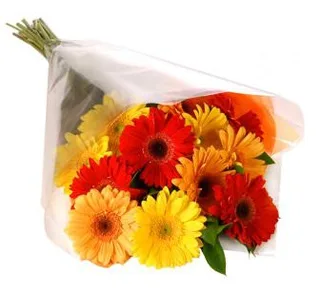 Bouquet de Gérberas Espalmado