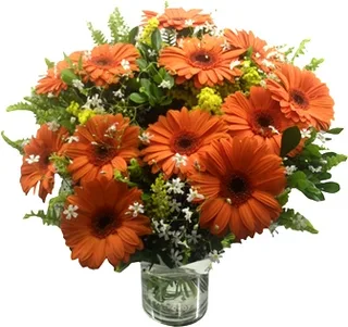 Bouquet de Gérberas Laranjas no Vidro